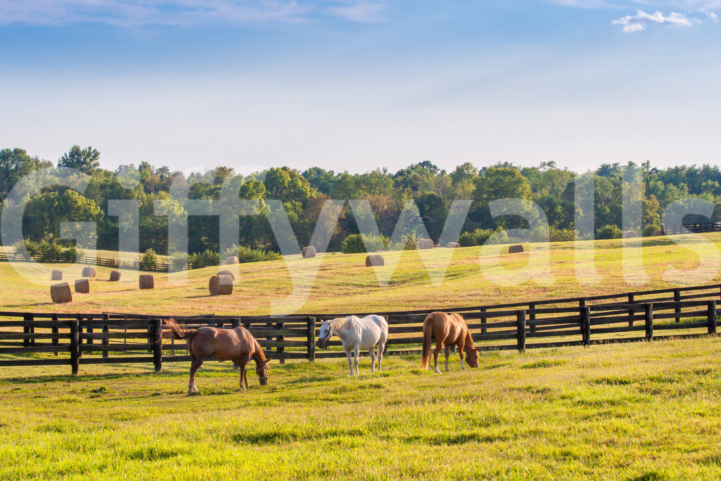 Peaceful countryside wall mural scene