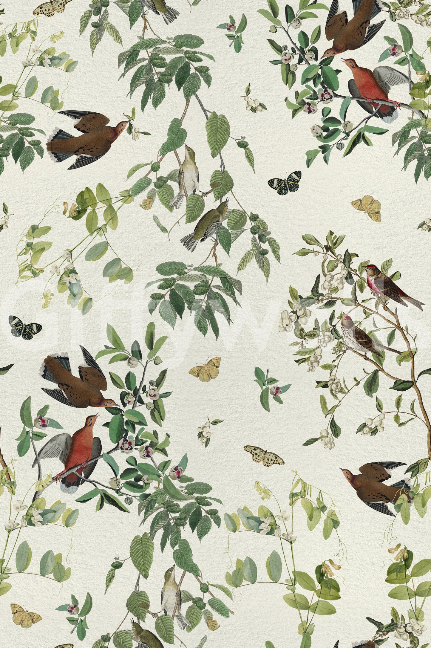 Olive tone wildlife wallpaper