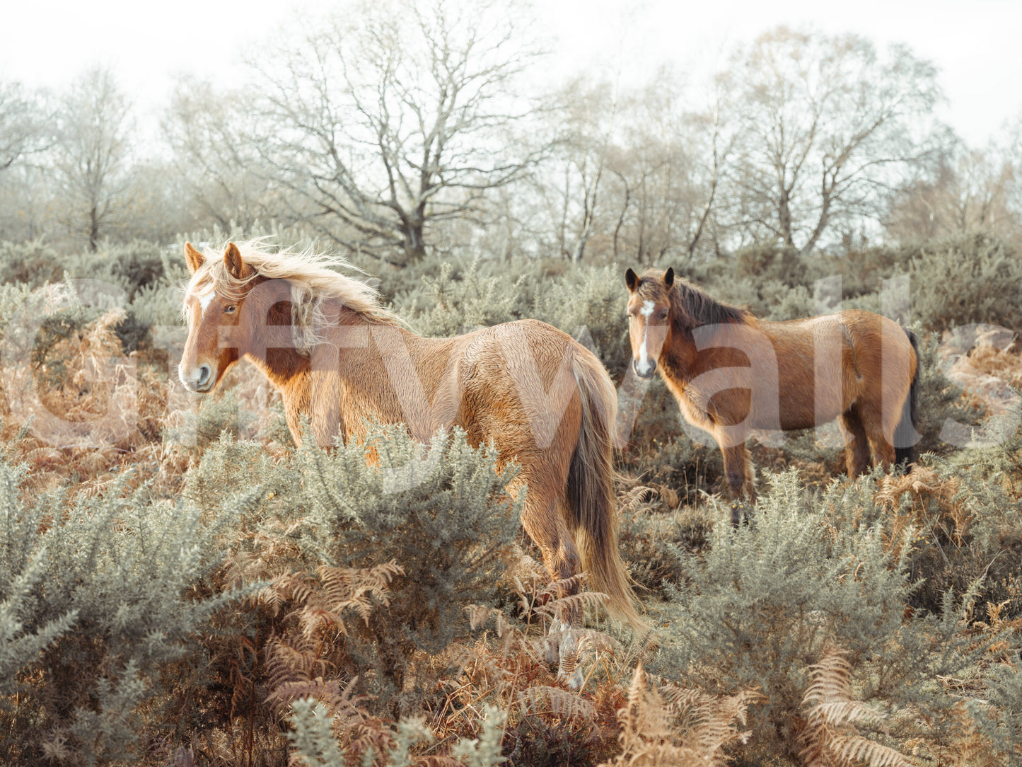 Bold mural with wild horses in natural tones