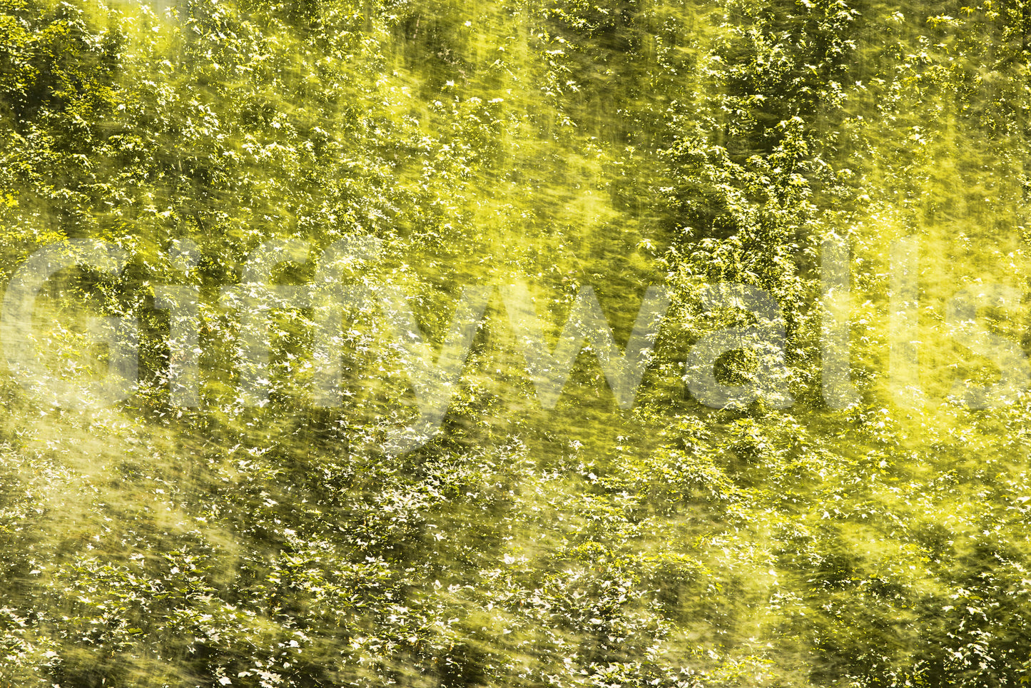 Nature-inspired art wall mural