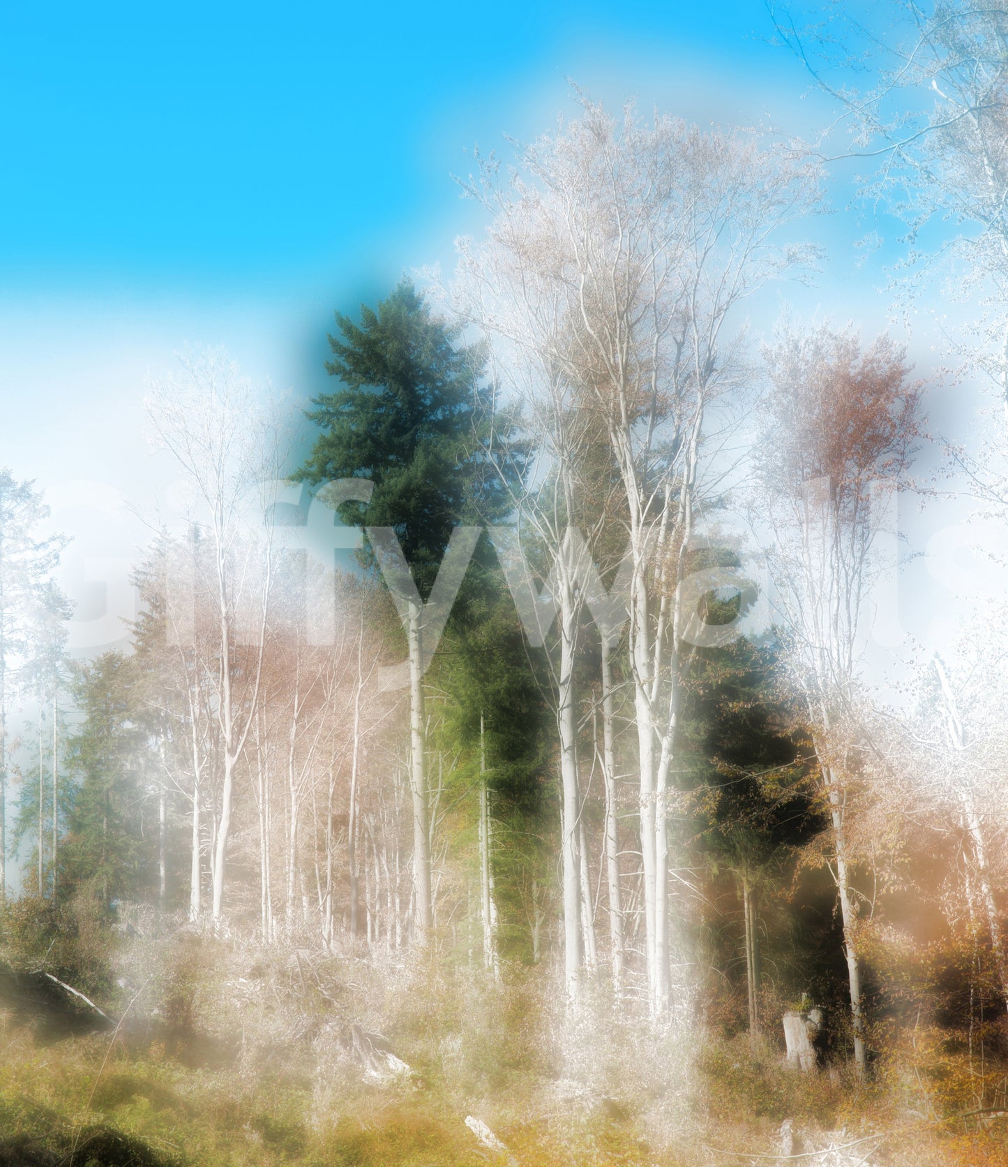 Muted tones forest wall mural