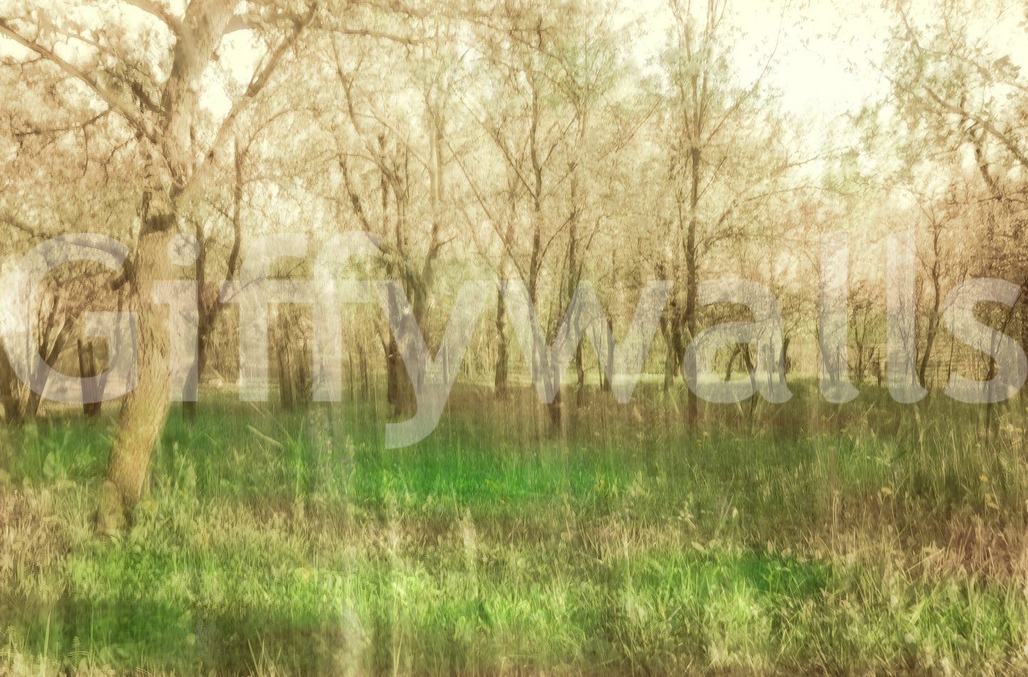 Natural forest photography wall mural