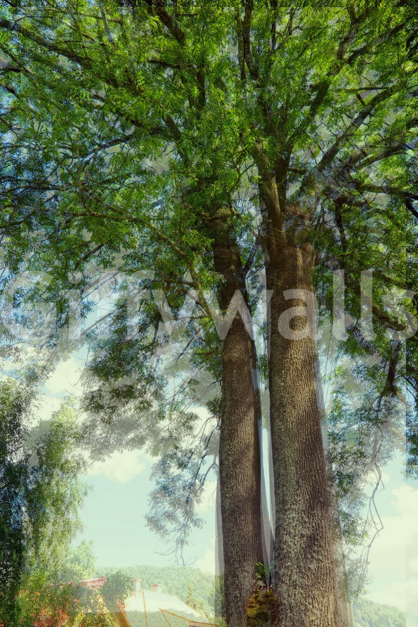 Botanical tree mural for interiors