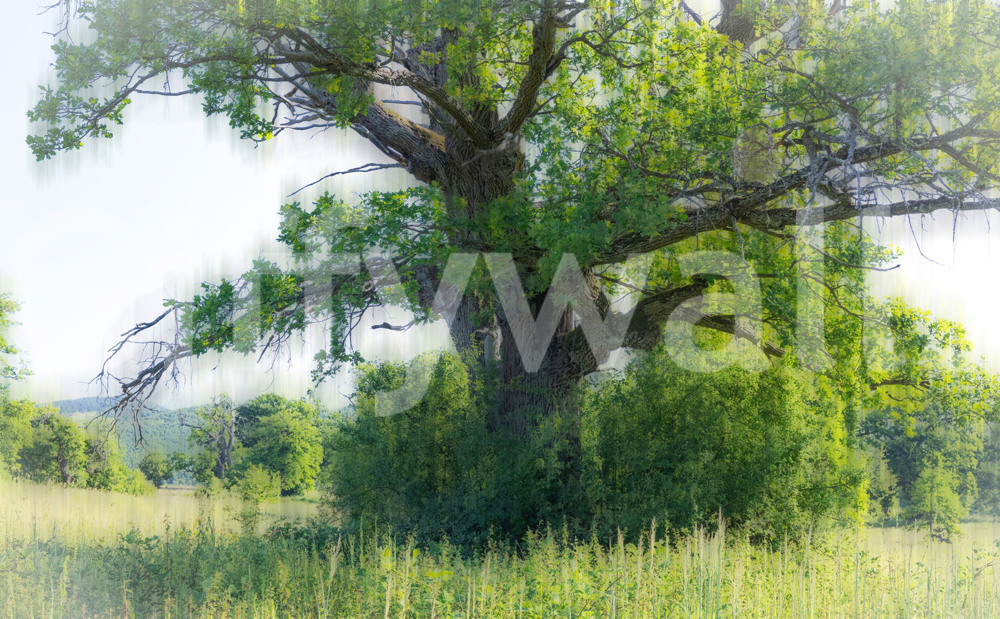 Minimal landscape wall wallpaper