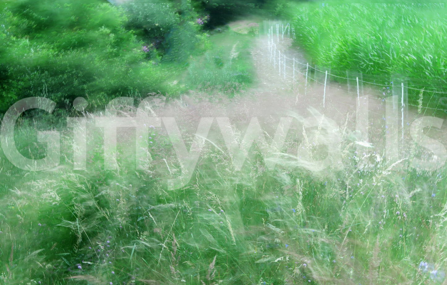 Blurry landscape forest mural