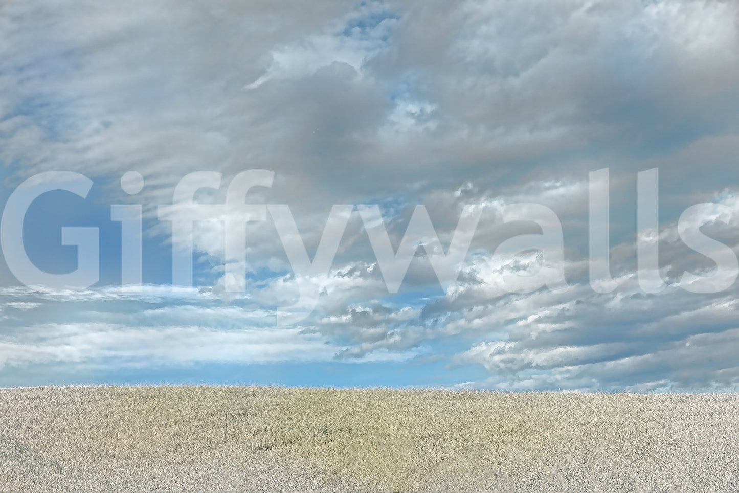 Expressive sky and land mural