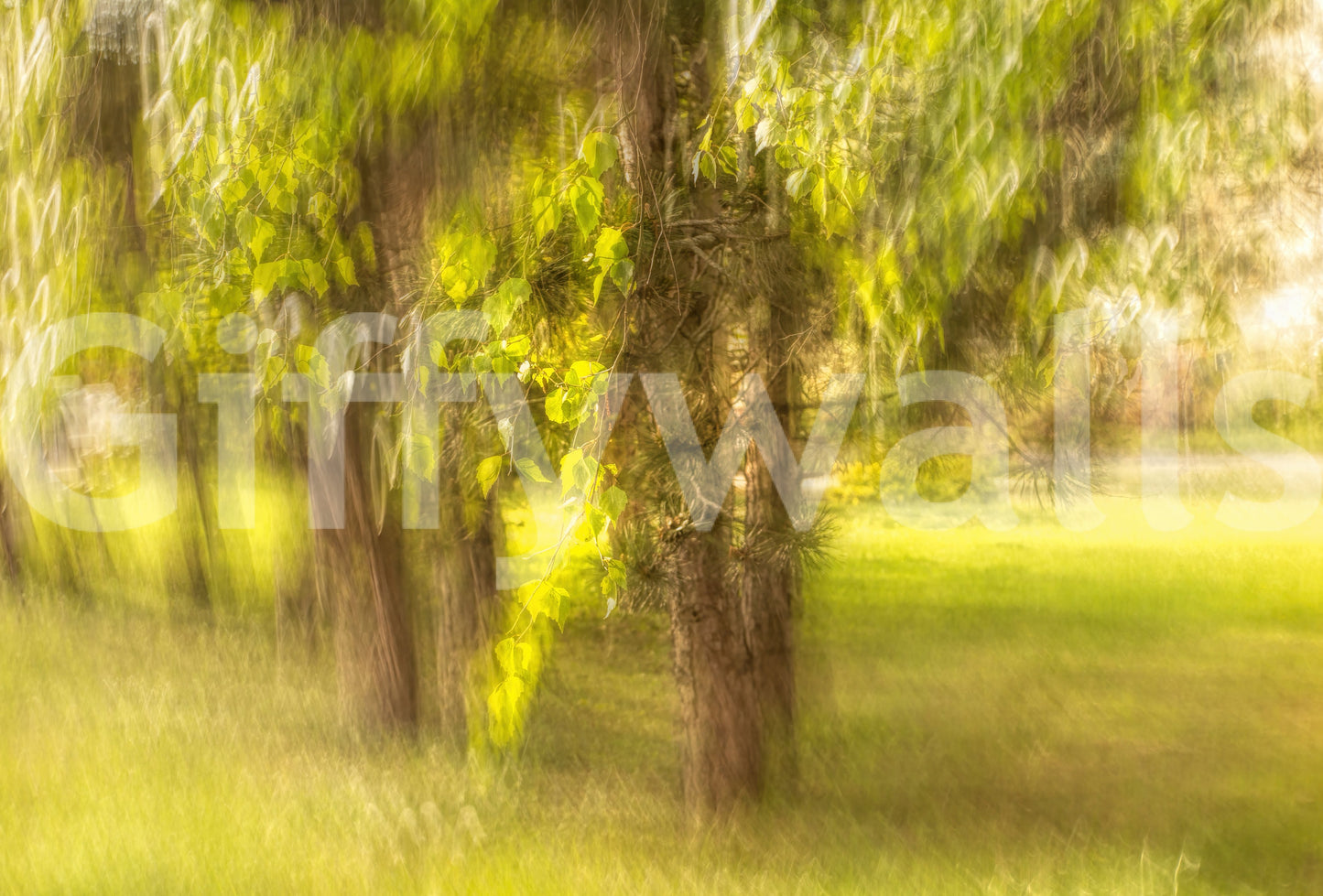 The visual texture appears soft and painterly.