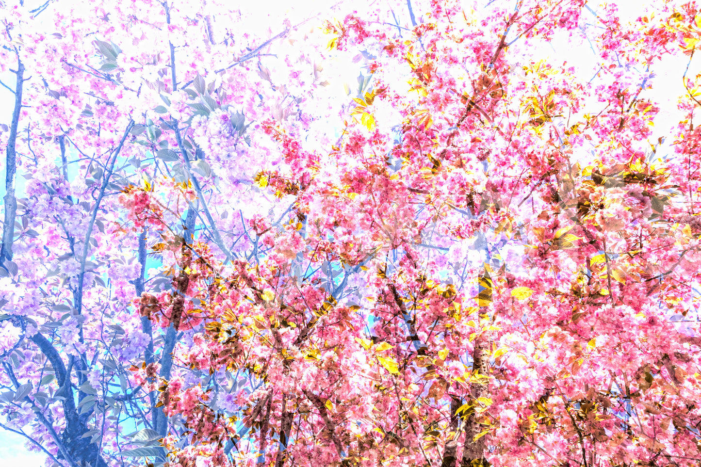 A harmonious statement piece for any home.