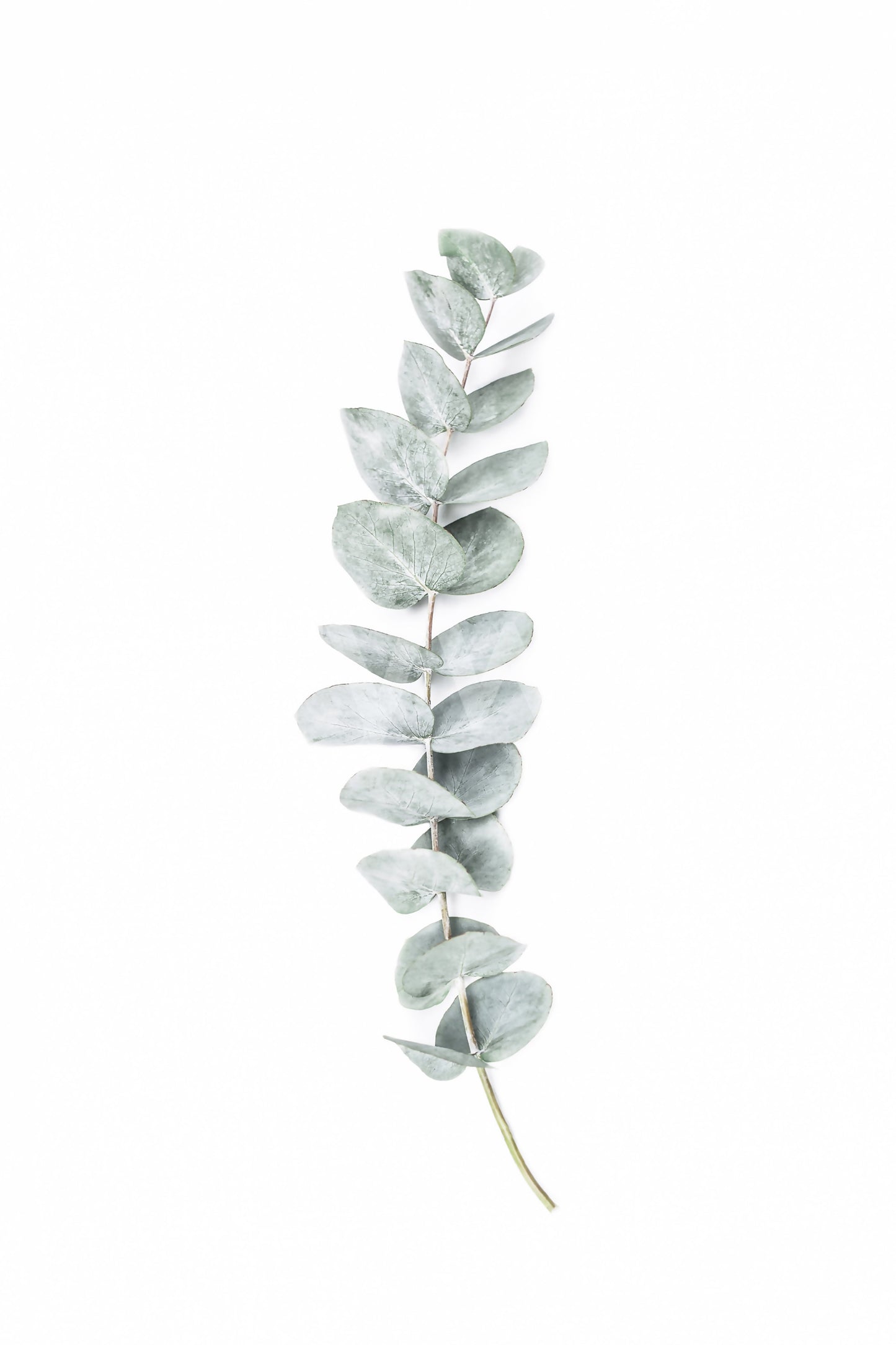 Organic design with a light and airy feel.