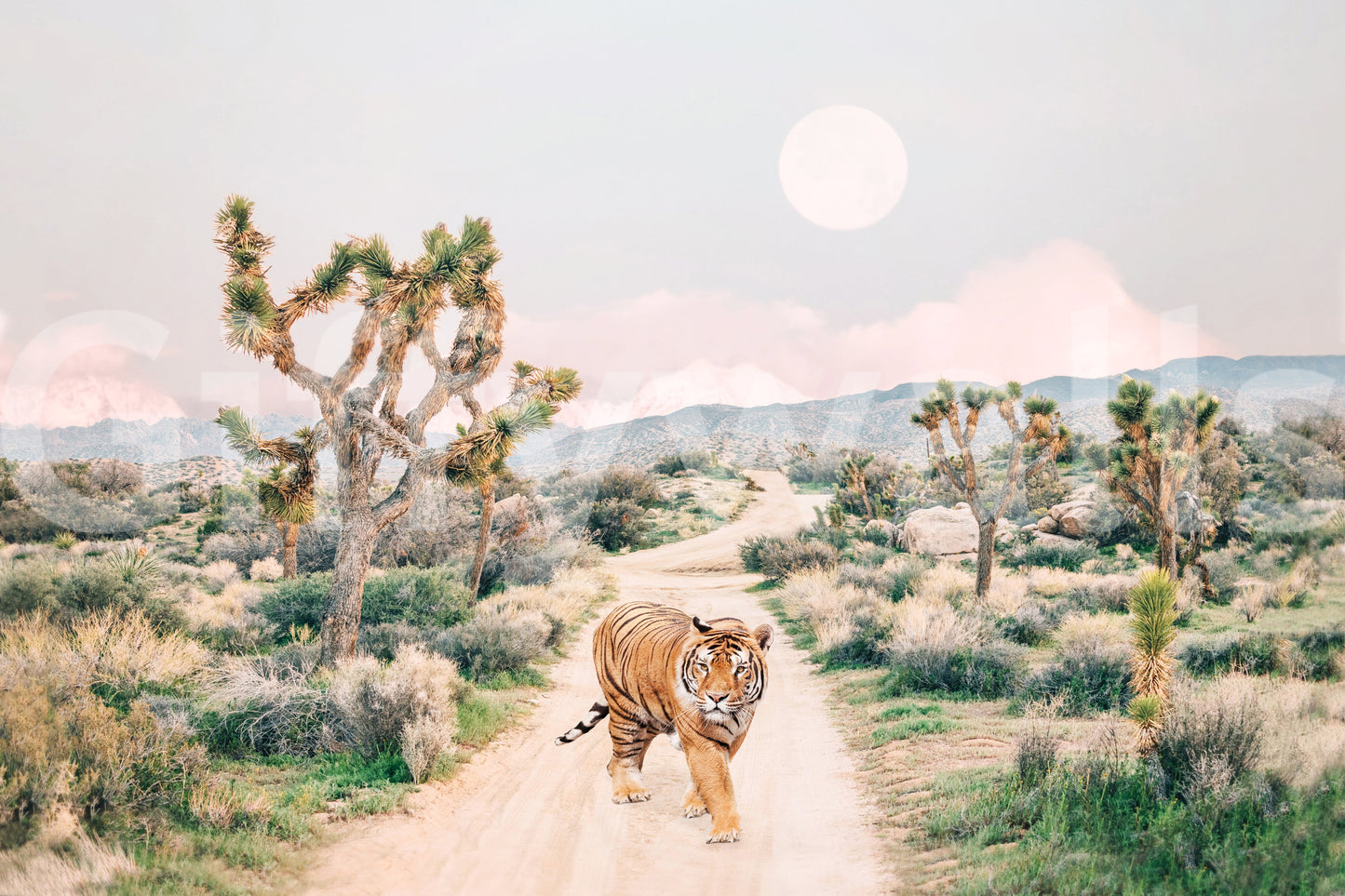 A bold statement piece for any home.