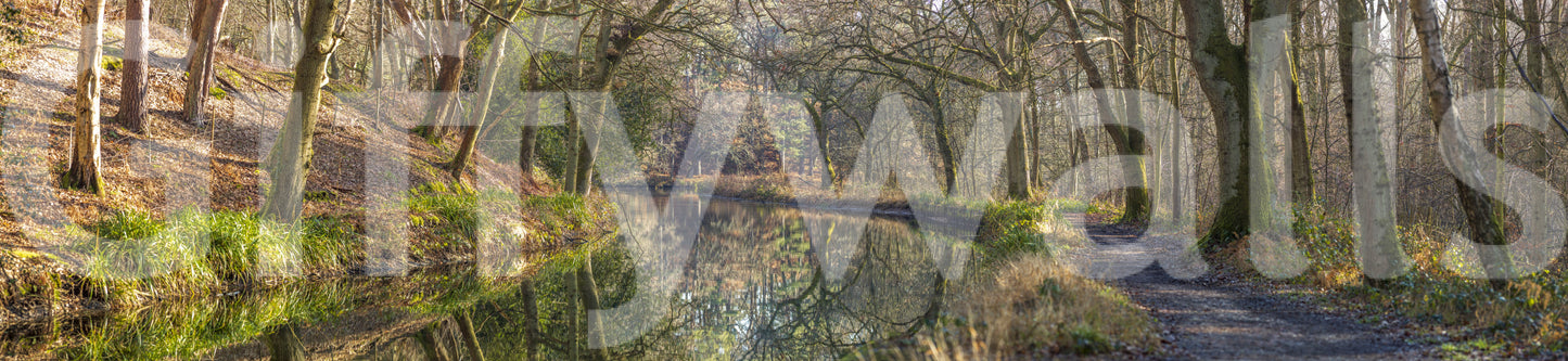 a painting of a forest and a lake