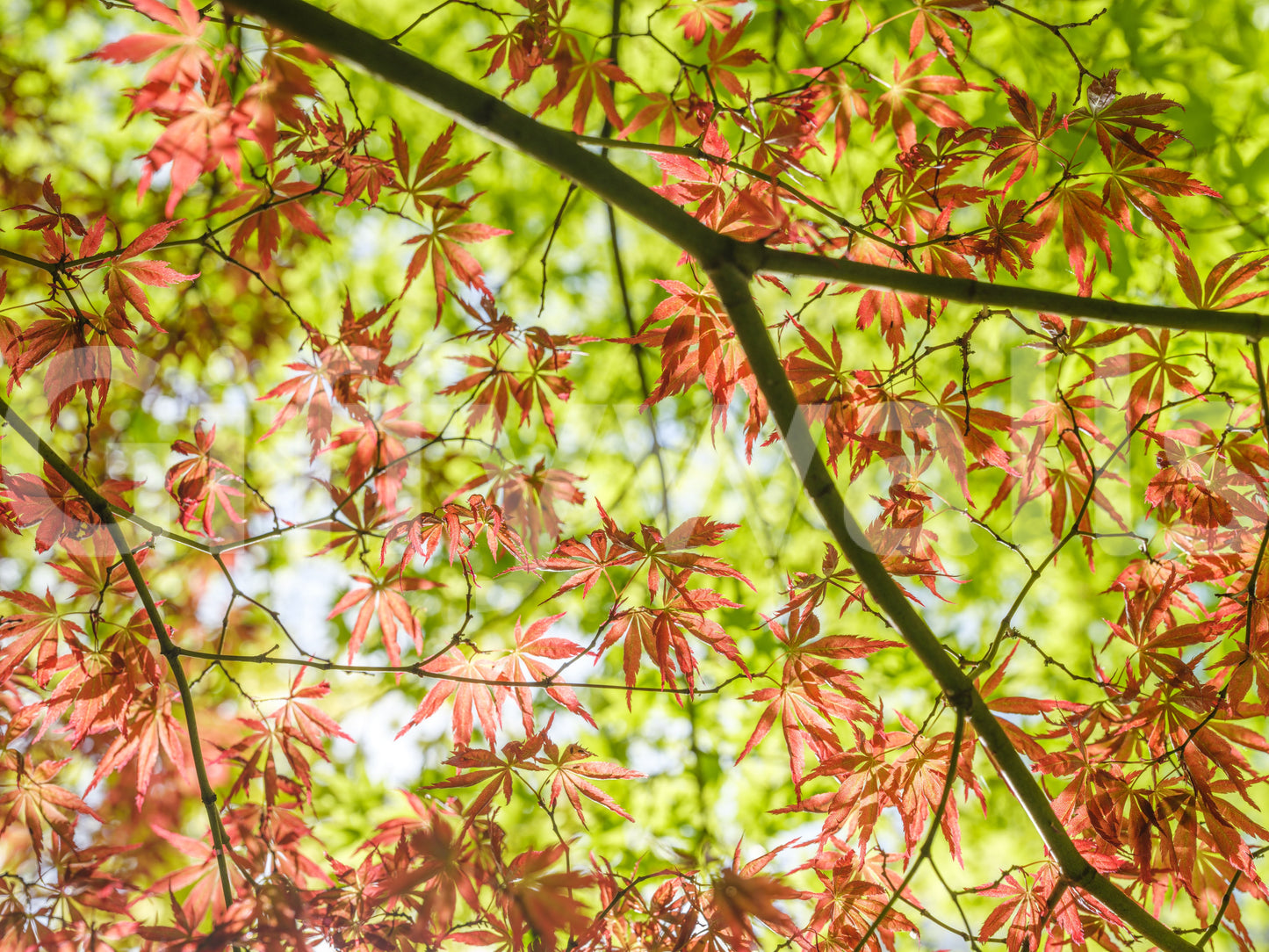 Vibrant and comforting wall art.