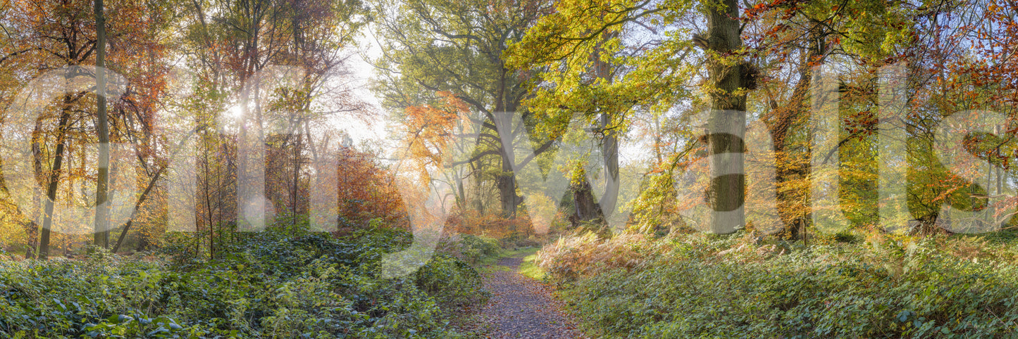 A harmonious and inspiring statement piece.