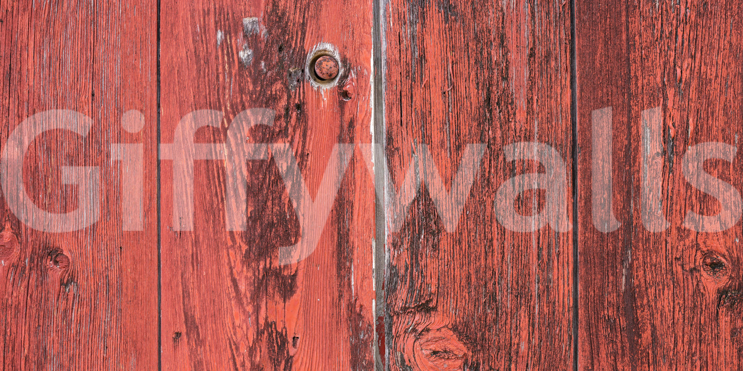 Detailed texture of weathered wooden planks.