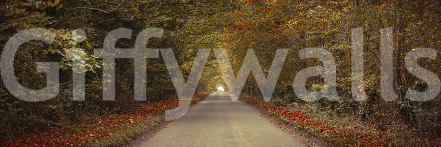 Provides a grand and artistic backdrop.