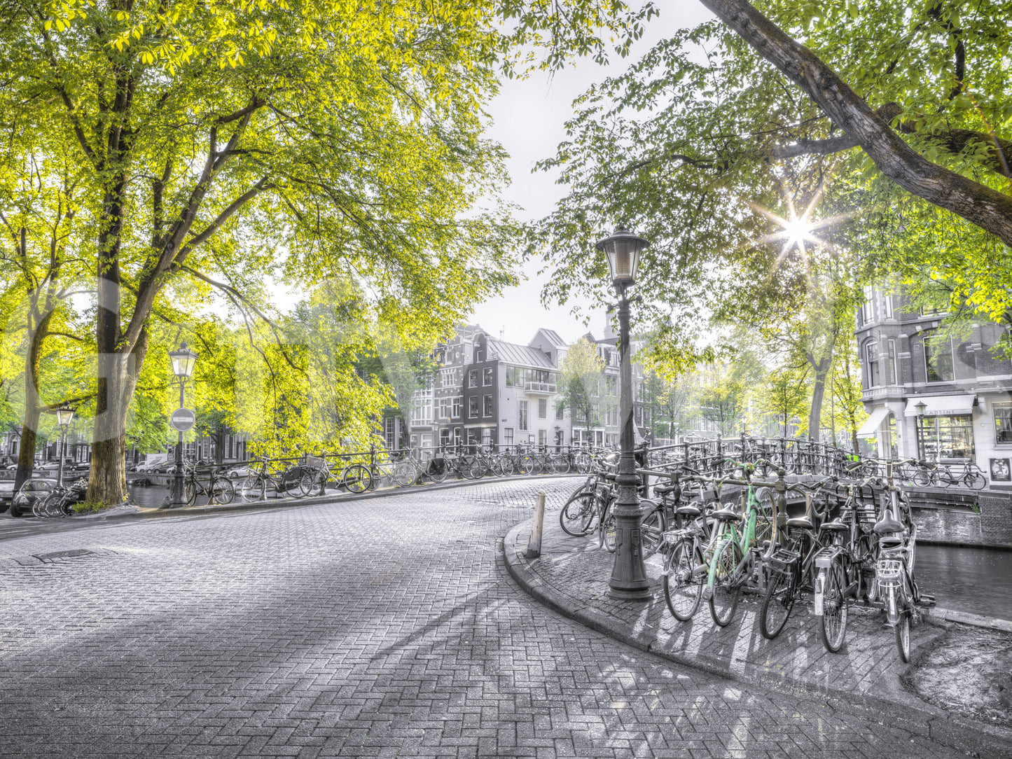 The Street of Amsterdam mural gives the space a fresh and sophisticated feel.