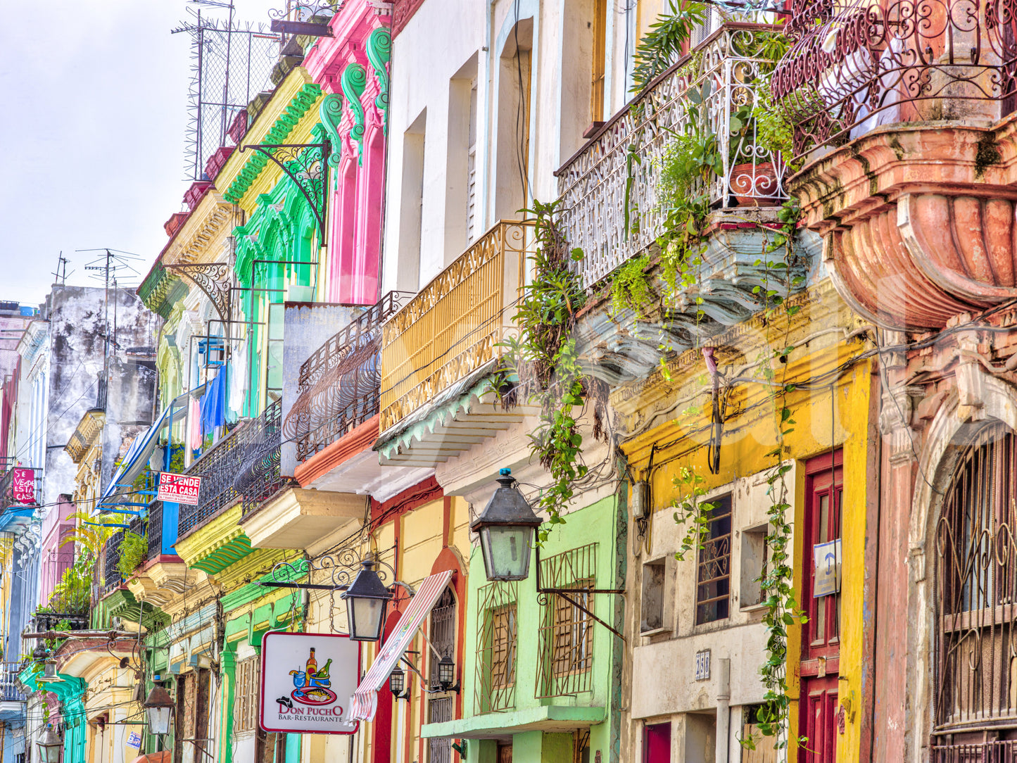 The design is non-realistic and interpretive.