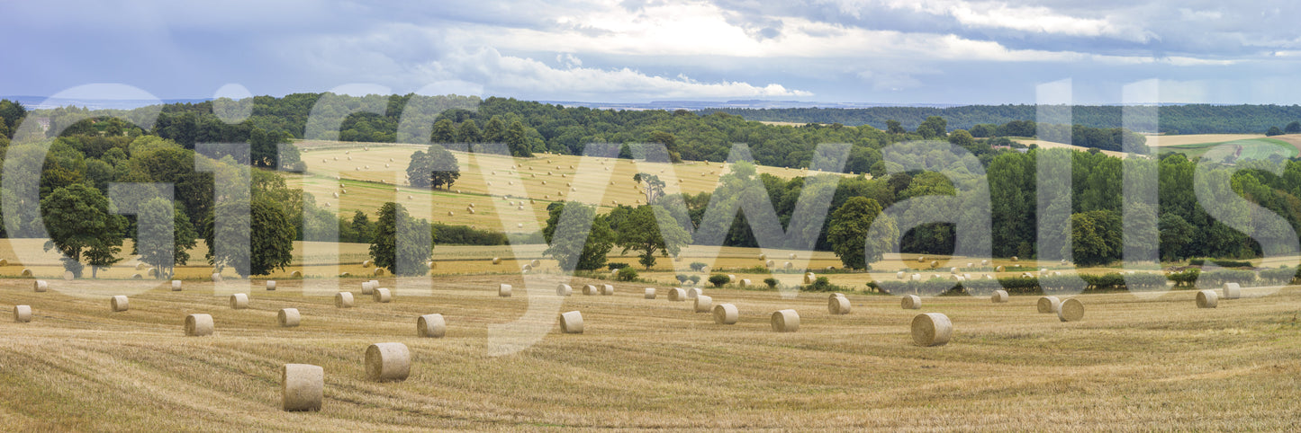 The image captures the grandeur of a harvest.
