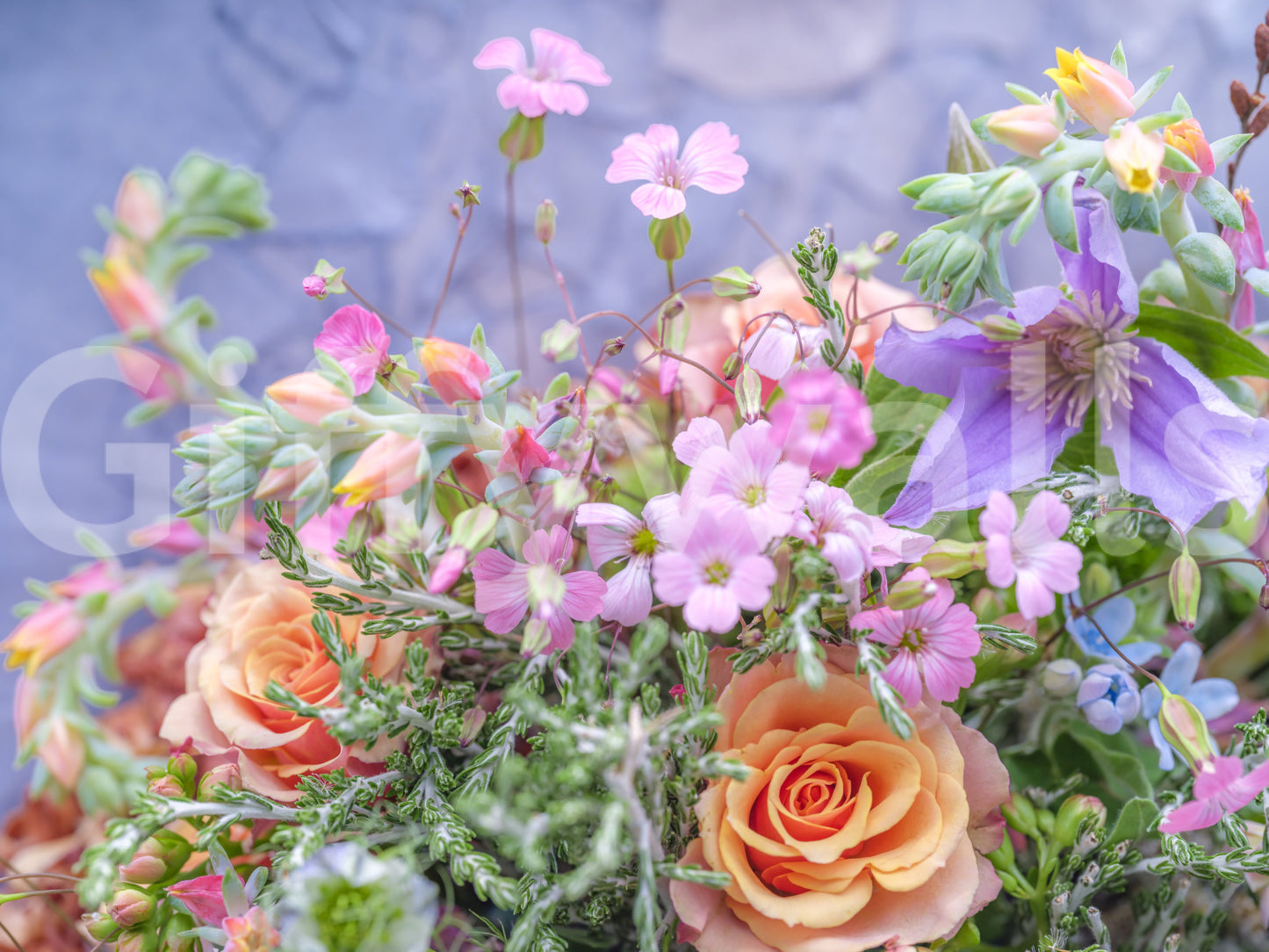 The image captures the life and energy of nature.