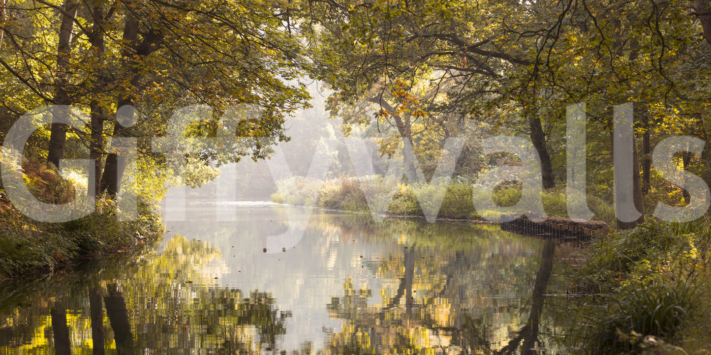 The wallpaper has a smooth, non-reflective matte finish.