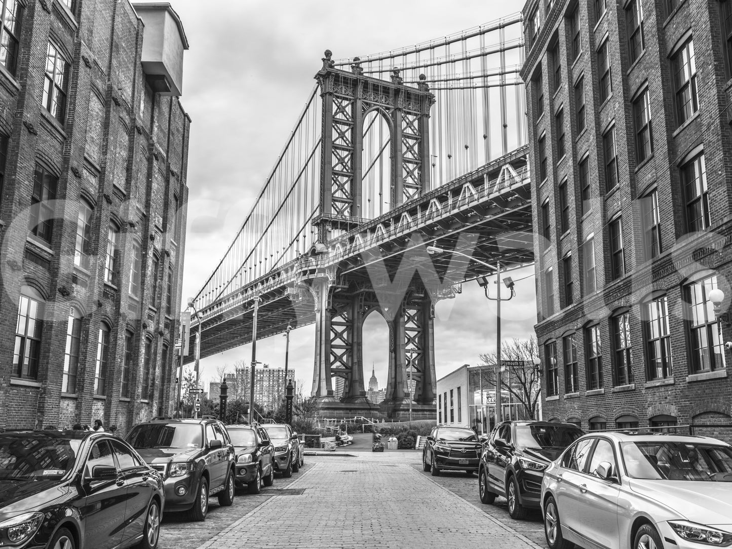 The wallpaper has a smooth, non-reflective matte finish.