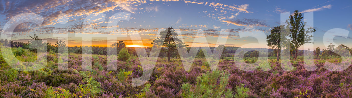 The wallpaper has a smooth, non-reflective matte finish.