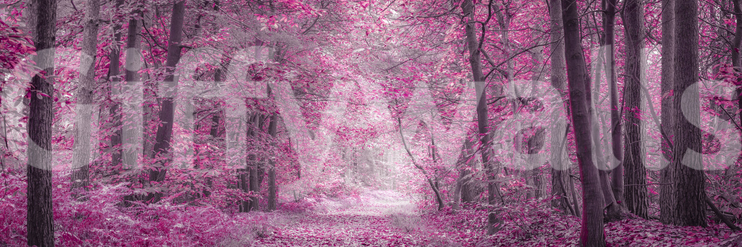 It gives the illusion of a portal into an enchanted world.