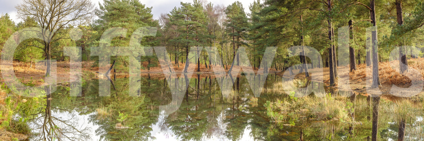 The wallpaper features a subtle, calming pattern.