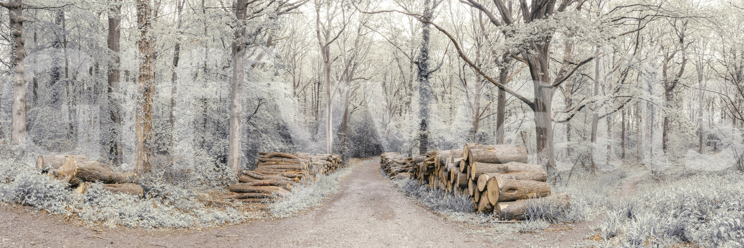 The wallpaper features a subtle, calming pattern.