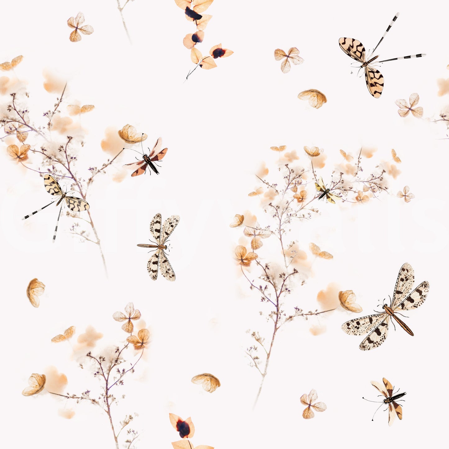 Wallpaper with a gentle and beautiful feel