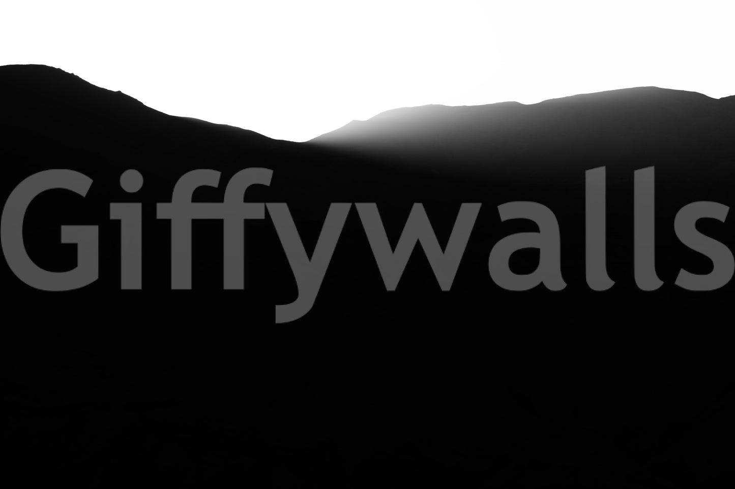 A detail of the architectural lines and tones in the design.