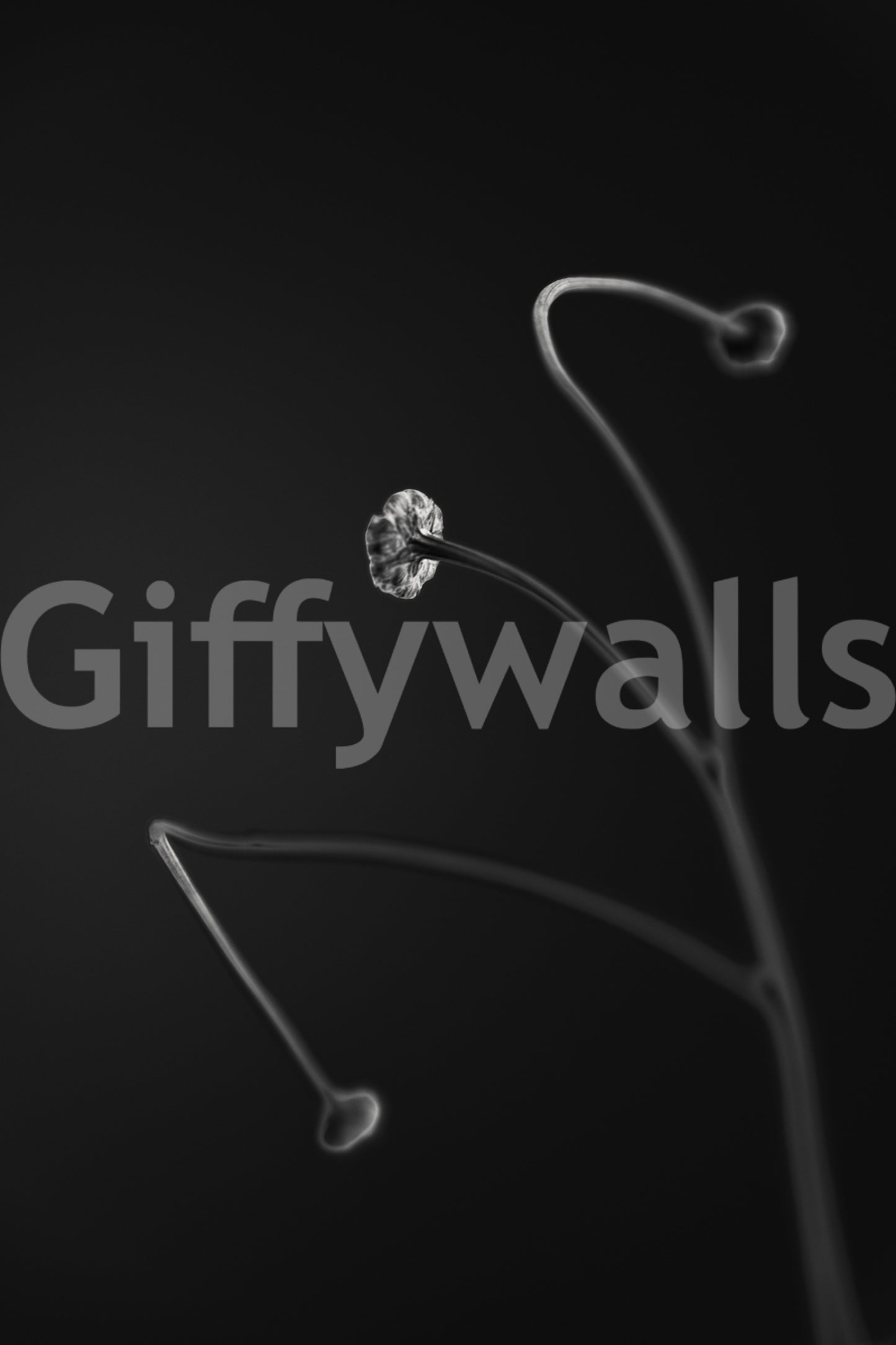 A detail of the organic shapes in the modern design.