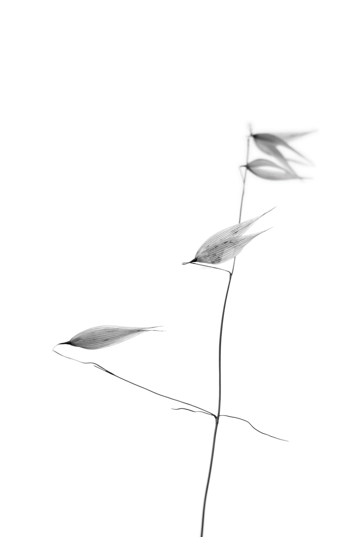 A detail of the organic shapes in the modern design.