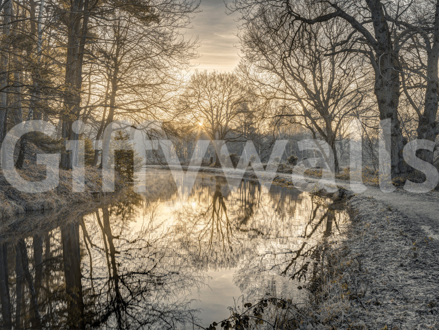 Frosty Morning calming wallpaper