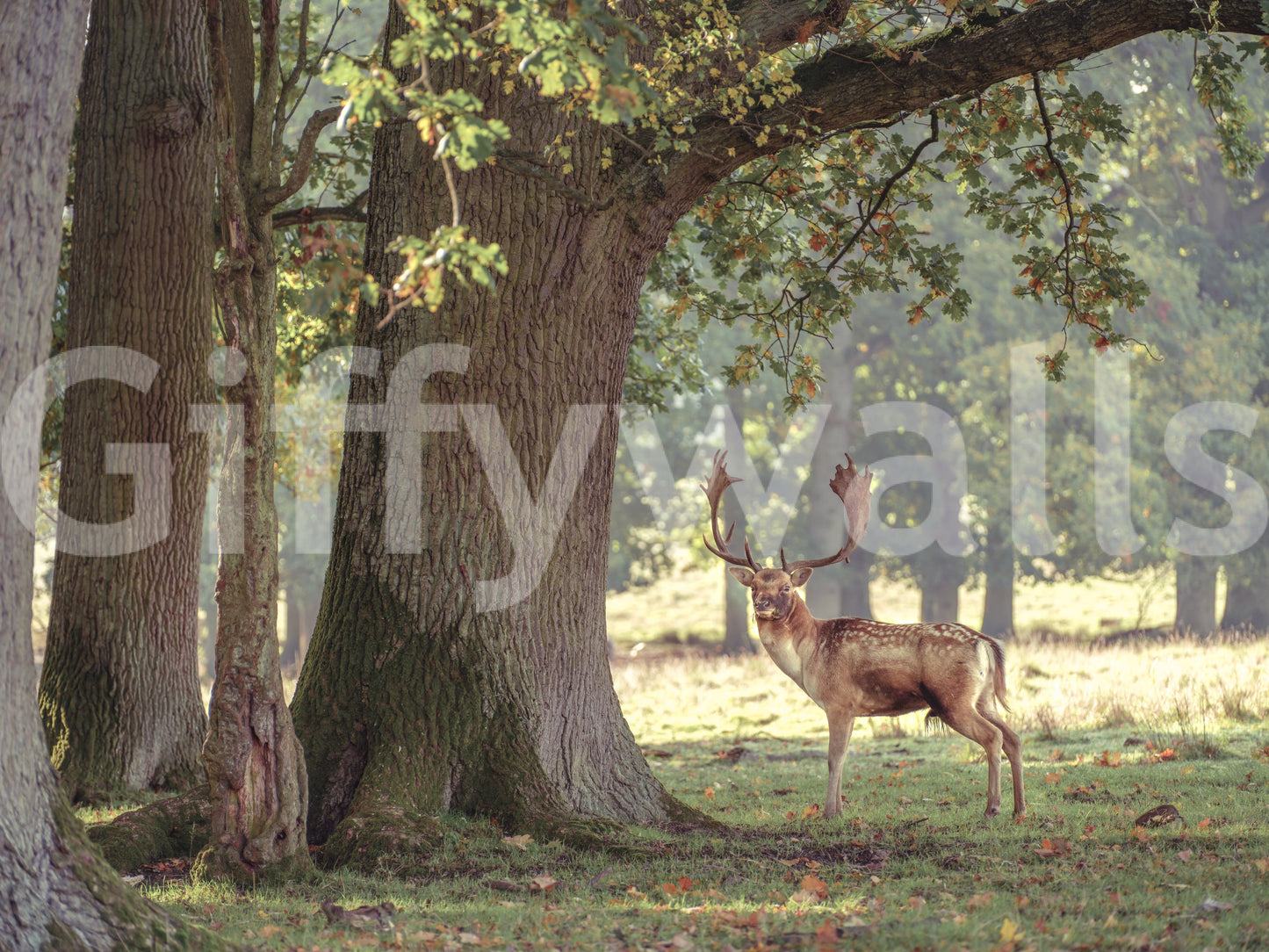 A detail of the majestic animal in the design.