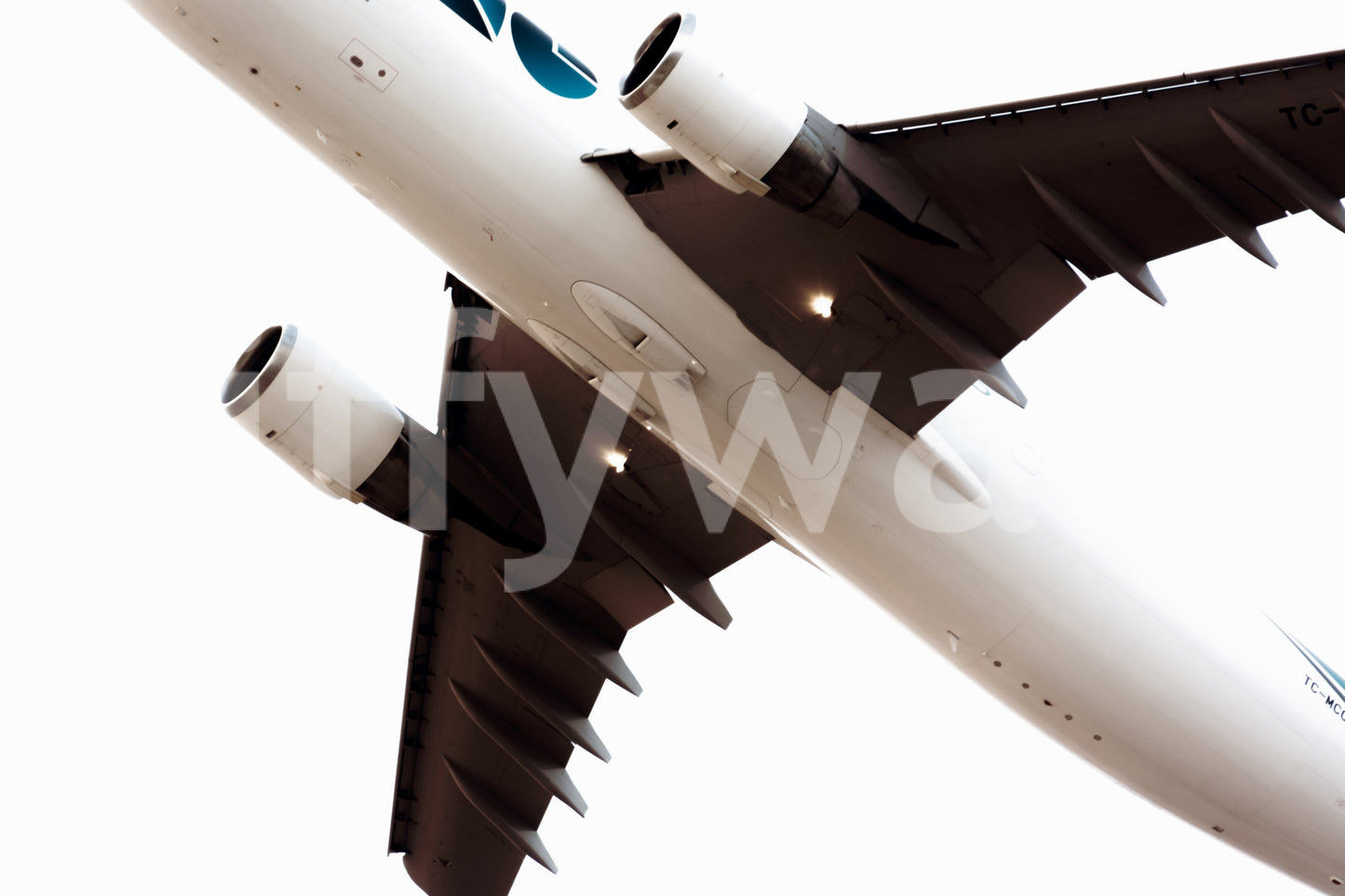 A detail of the warm tones in the ground and sky.