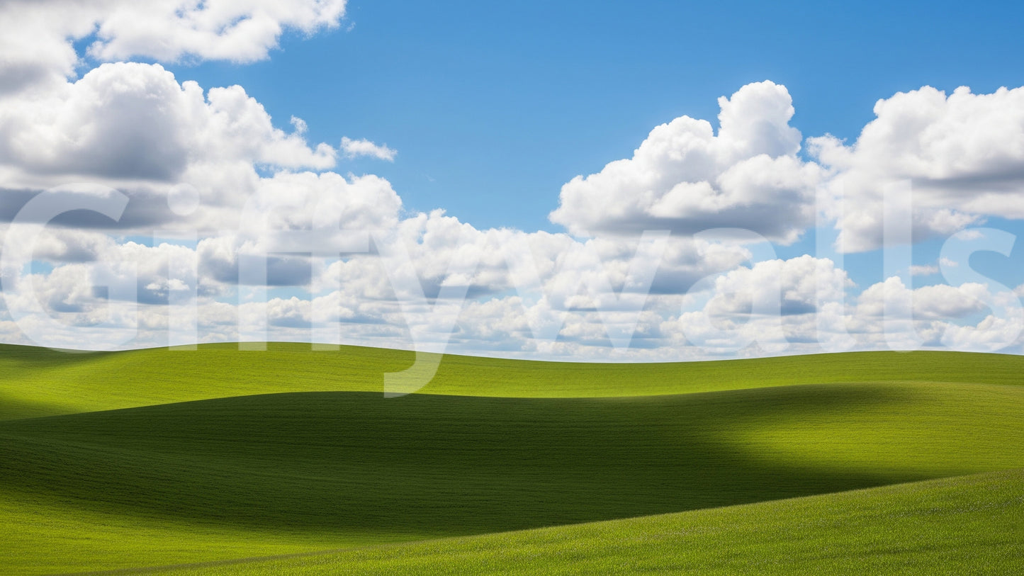 A detail of the warm tones in the scene.