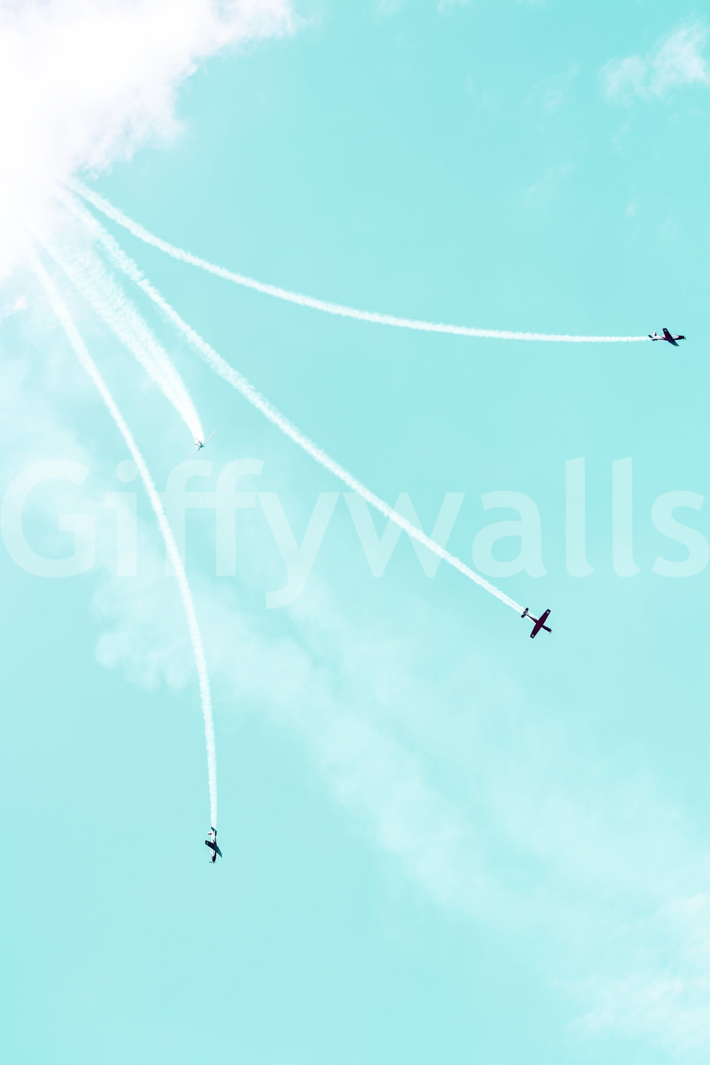 A detail of the brushstrokes and tones in the design.