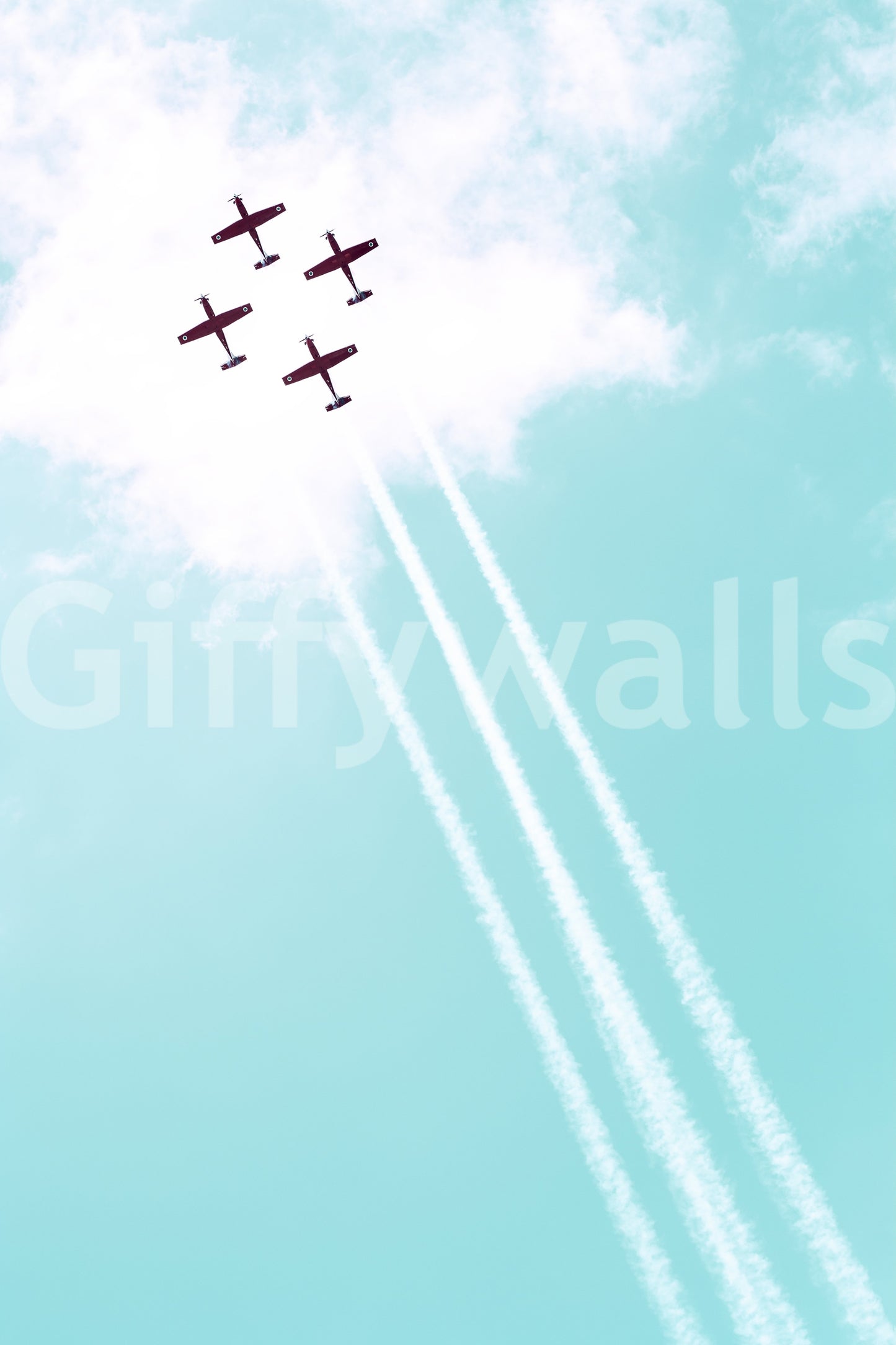 A detail of the brushstrokes and tones in the design.