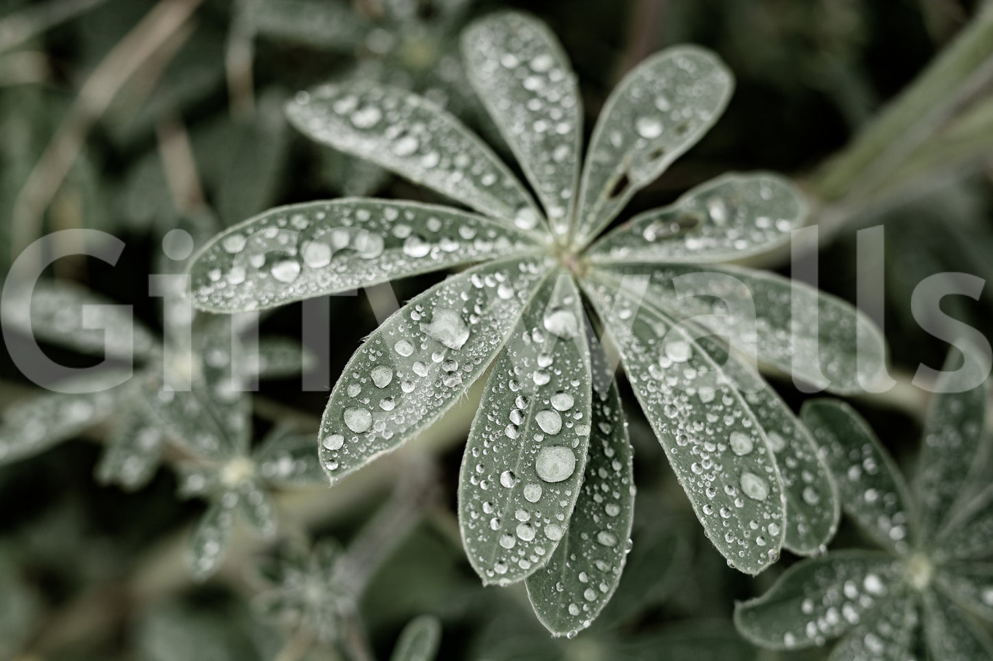 A detail of the warm tones in the flowers and greenery.