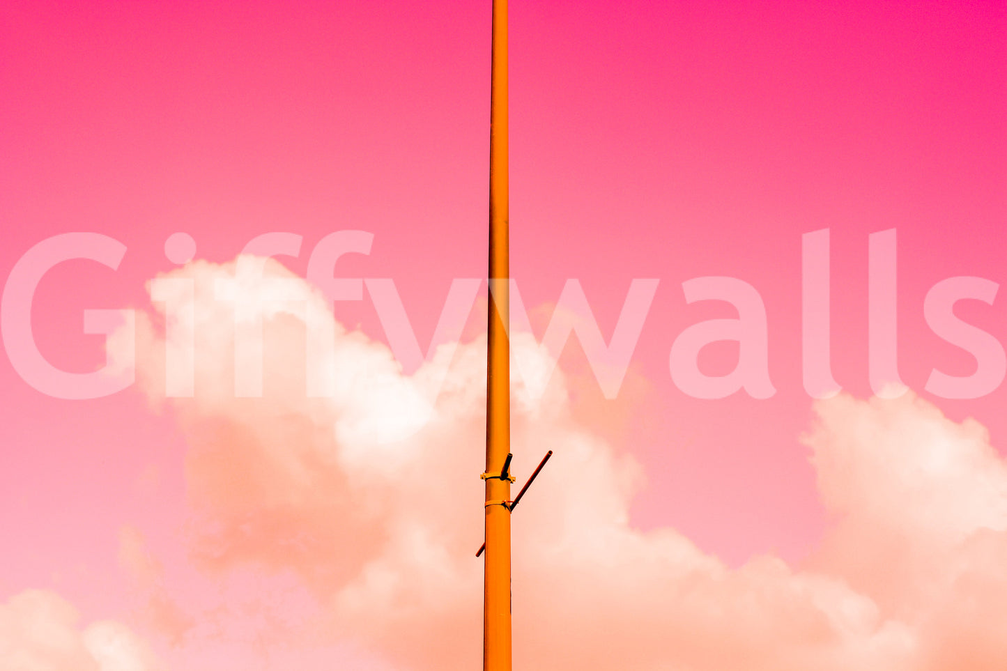 A high-quality abstract pink wall mural for walls.