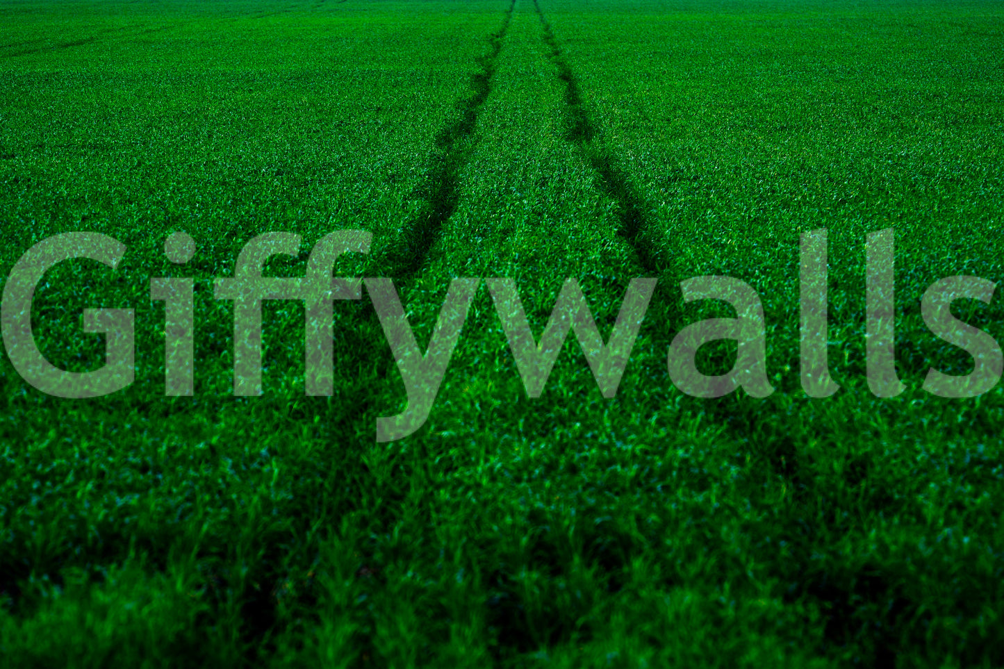 A high-quality minimalist track wall mural for walls.