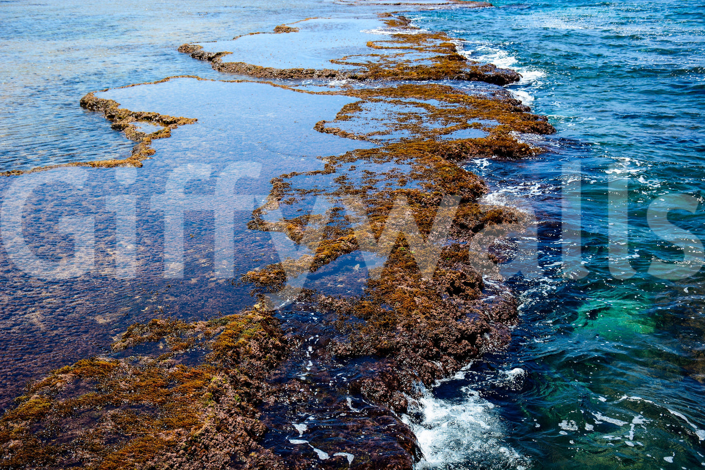 A high-quality serene coastal wall mural for walls.