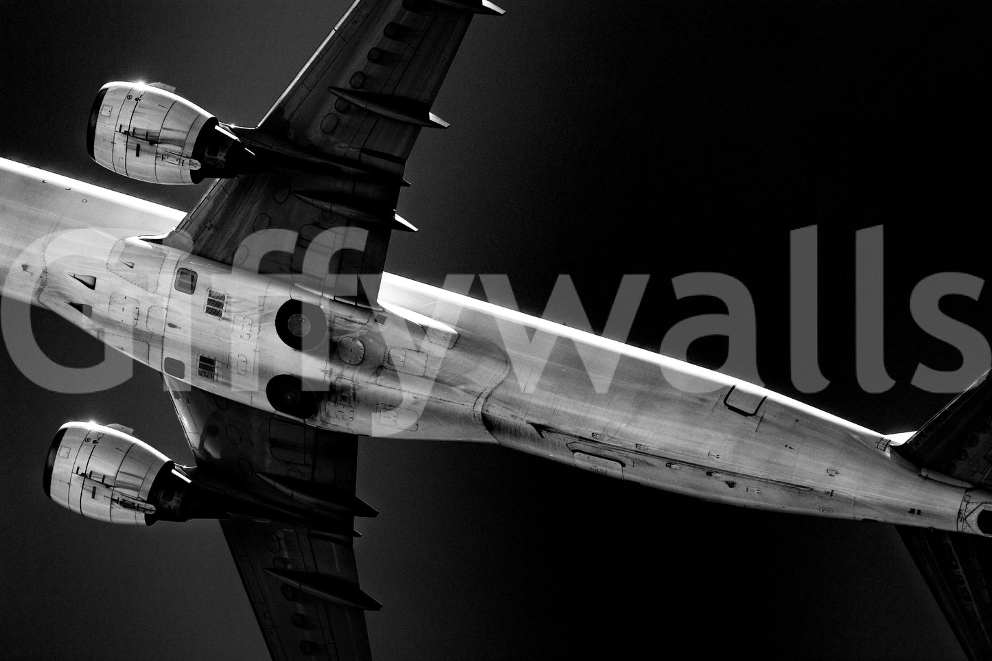 A high-quality abstract design wall mural for walls.