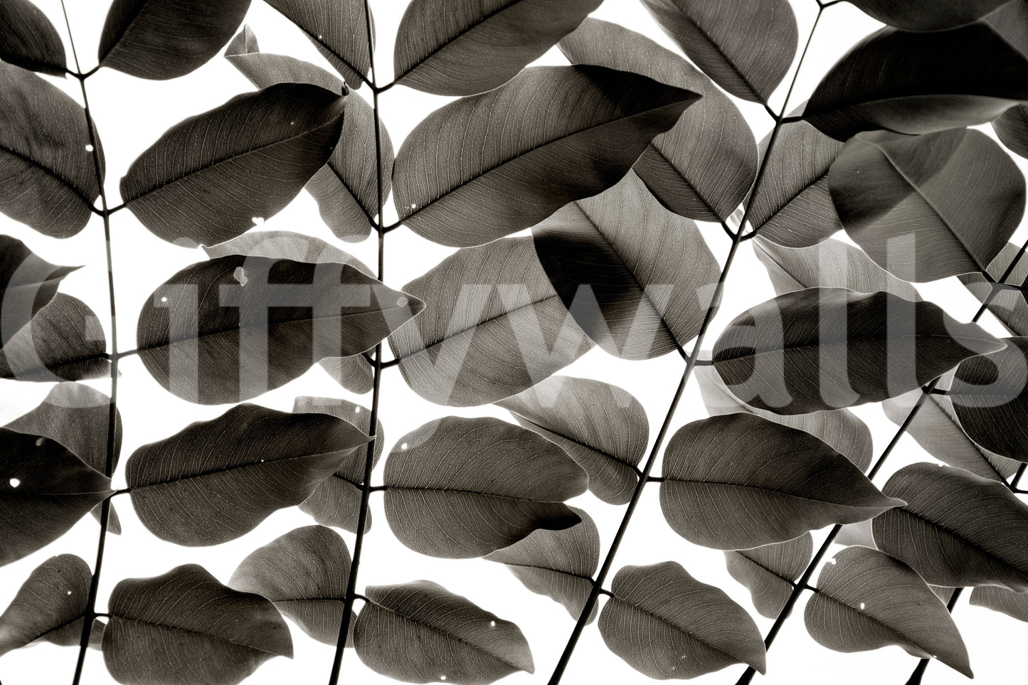 A high-quality serene tree wall mural for walls.