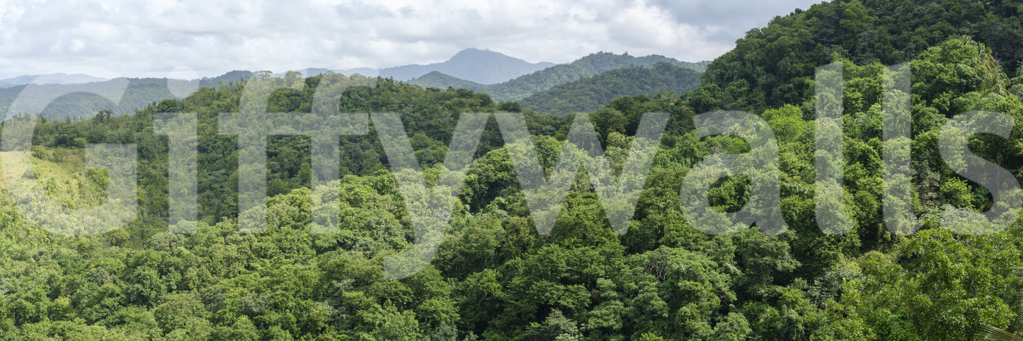 A high-quality minimalist wall mural for walls.