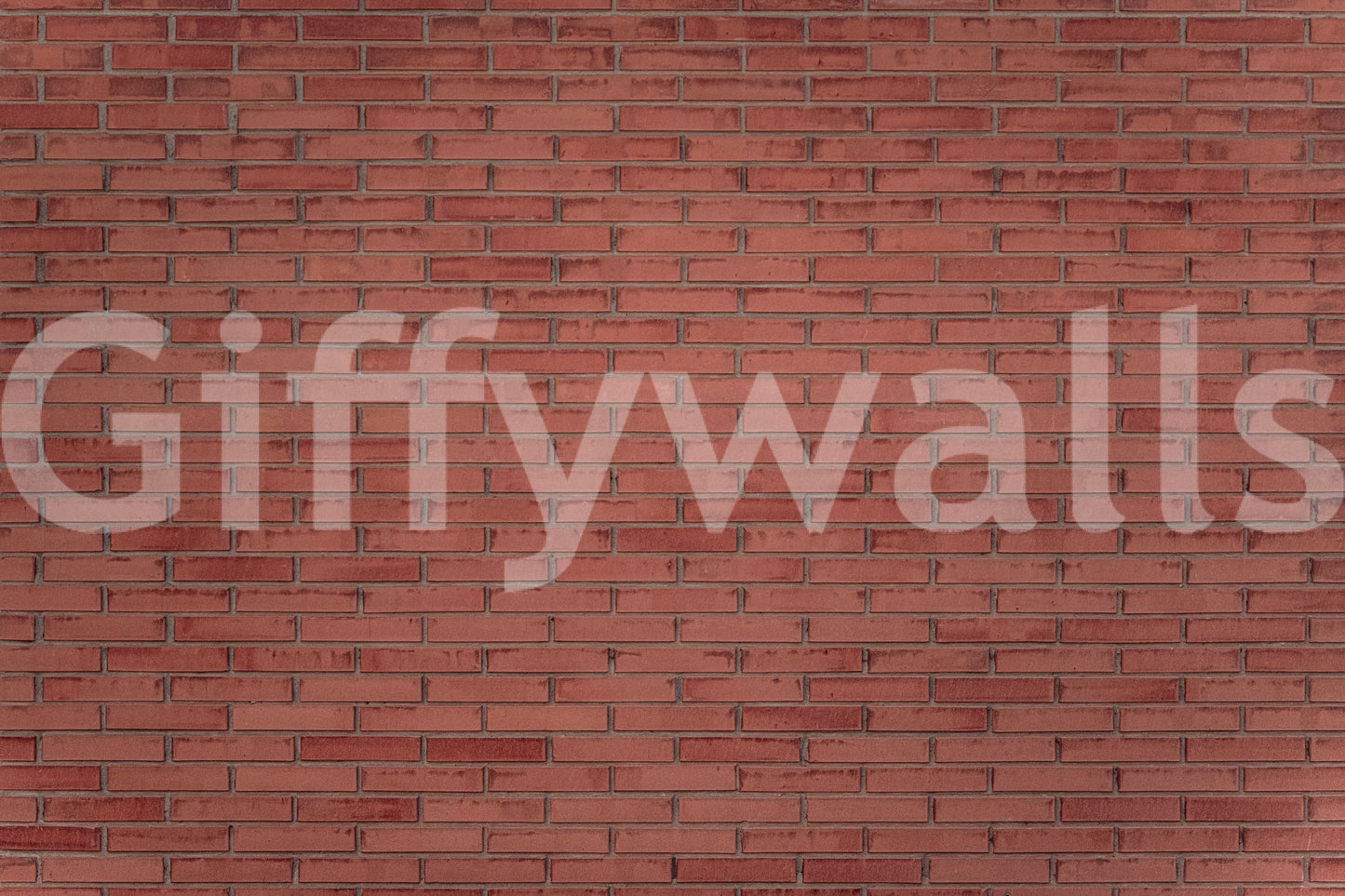 A high-quality minimalist wall mural for walls.