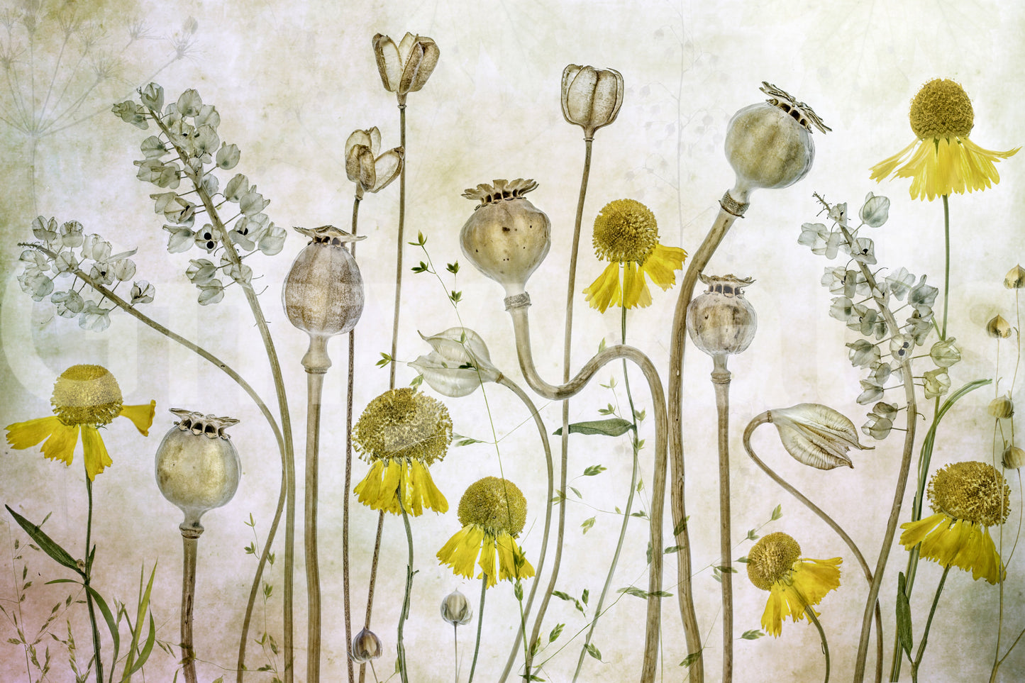A high-quality serene botanical wall mural for walls.