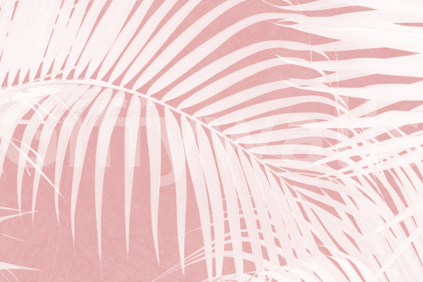 A high-quality serene leaf wall mural for walls.