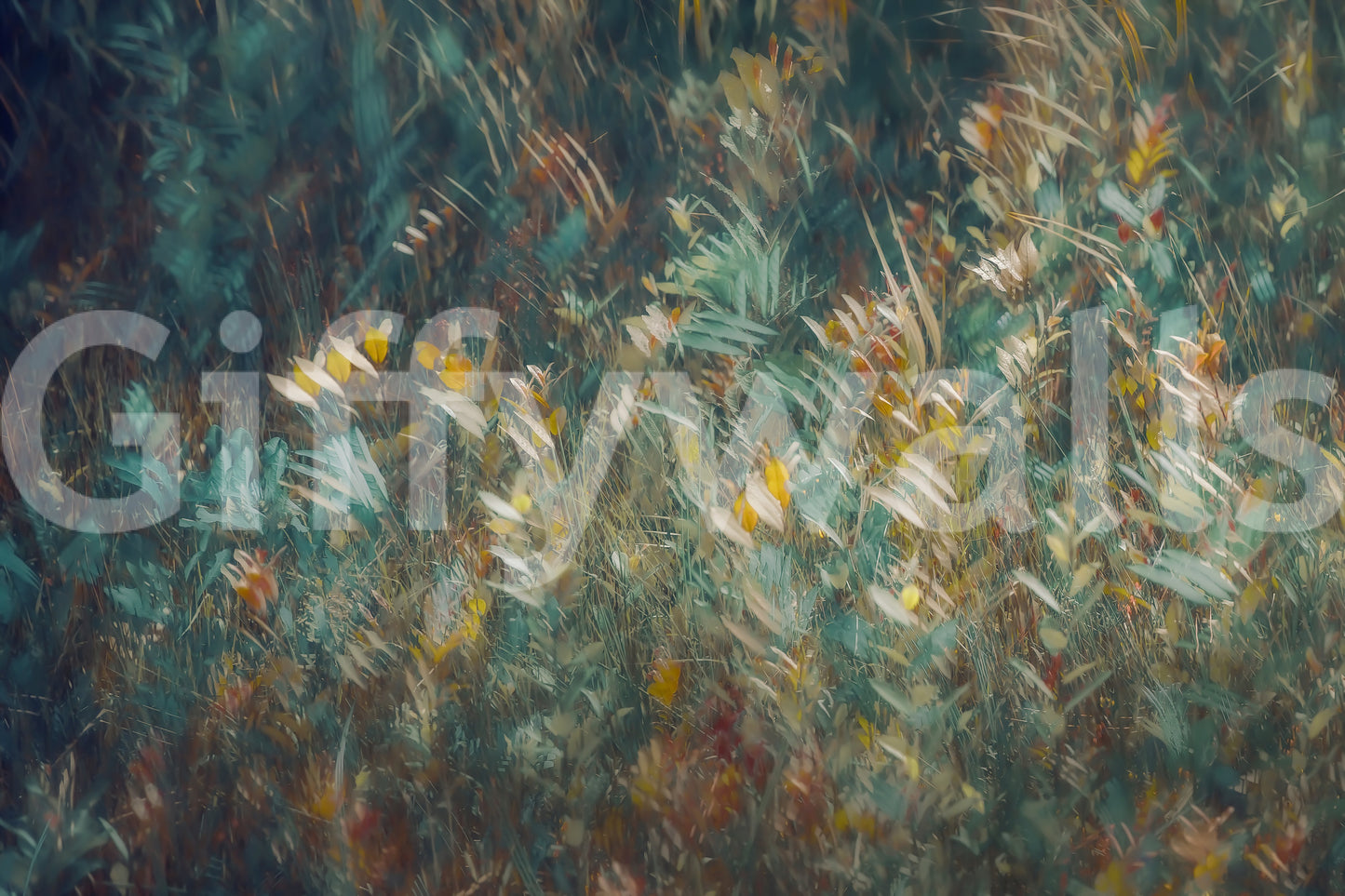 Autumnal Whisper Wall Mural -1930988